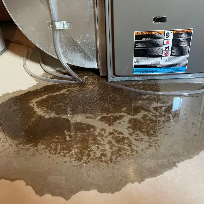Pipe Burst and Leak Restoration in Melody Hill, IN